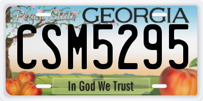 GA license plate CSM5295