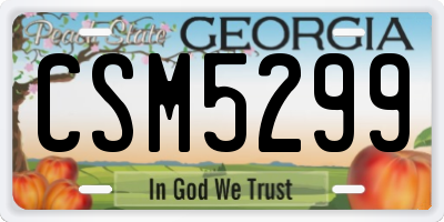 GA license plate CSM5299