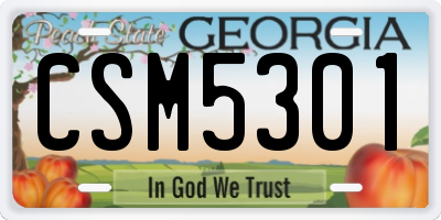 GA license plate CSM5301