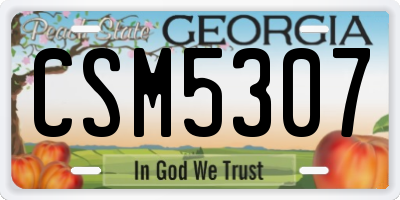 GA license plate CSM5307