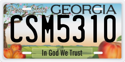 GA license plate CSM5310