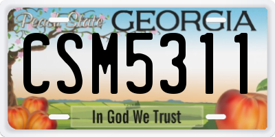 GA license plate CSM5311