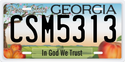 GA license plate CSM5313