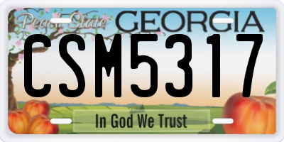 GA license plate CSM5317