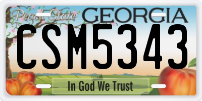 GA license plate CSM5343
