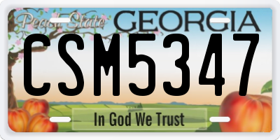 GA license plate CSM5347