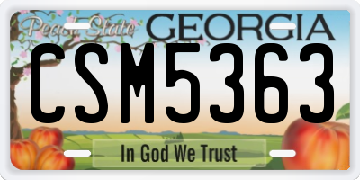 GA license plate CSM5363