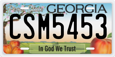 GA license plate CSM5453