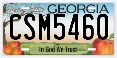 GA license plate CSM5460