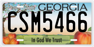 GA license plate CSM5466