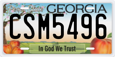 GA license plate CSM5496