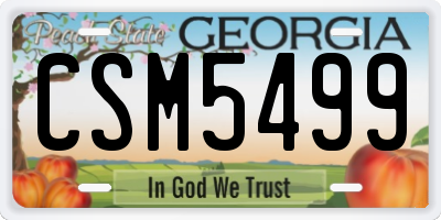 GA license plate CSM5499