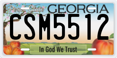GA license plate CSM5512