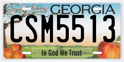 GA license plate CSM5513