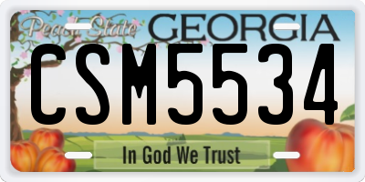 GA license plate CSM5534