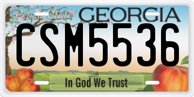 GA license plate CSM5536