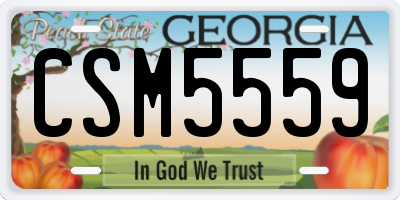 GA license plate CSM5559