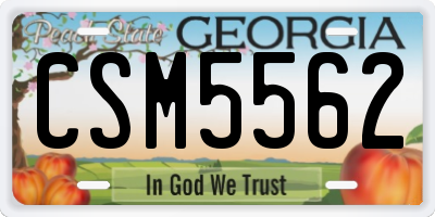 GA license plate CSM5562