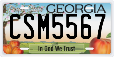 GA license plate CSM5567