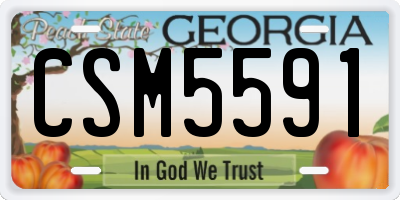 GA license plate CSM5591