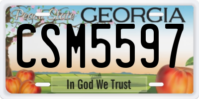 GA license plate CSM5597