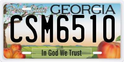 GA license plate CSM6510