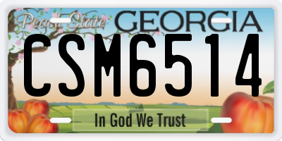 GA license plate CSM6514