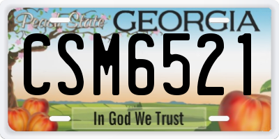 GA license plate CSM6521