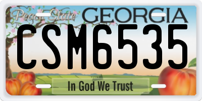 GA license plate CSM6535
