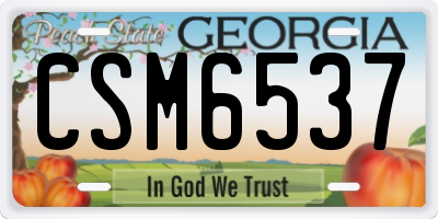 GA license plate CSM6537