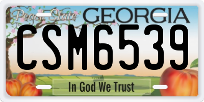 GA license plate CSM6539
