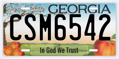 GA license plate CSM6542