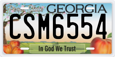 GA license plate CSM6554