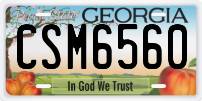 GA license plate CSM6560