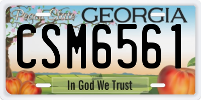GA license plate CSM6561