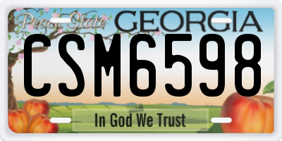 GA license plate CSM6598