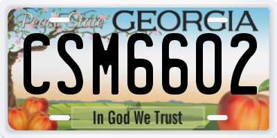 GA license plate CSM6602