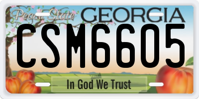 GA license plate CSM6605
