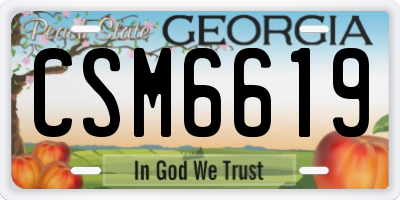 GA license plate CSM6619