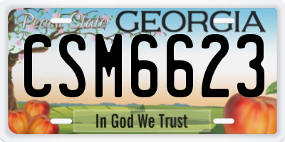 GA license plate CSM6623