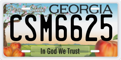 GA license plate CSM6625