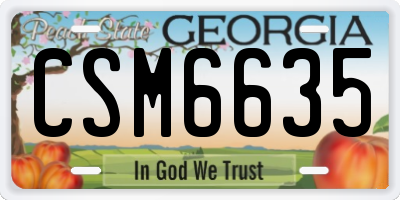 GA license plate CSM6635