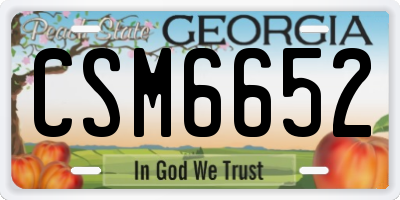 GA license plate CSM6652