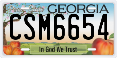 GA license plate CSM6654