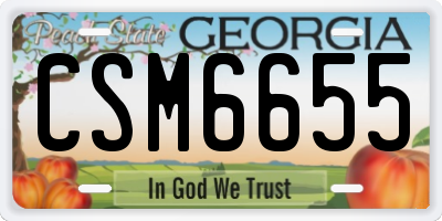 GA license plate CSM6655
