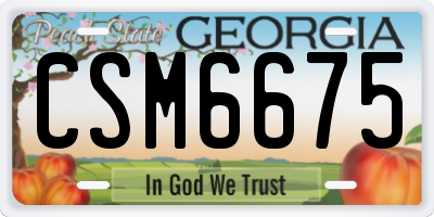 GA license plate CSM6675