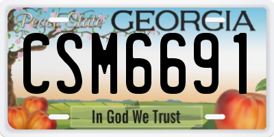 GA license plate CSM6691