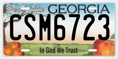 GA license plate CSM6723