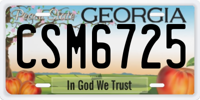 GA license plate CSM6725