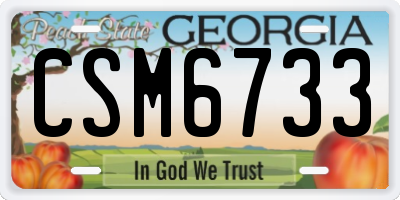 GA license plate CSM6733